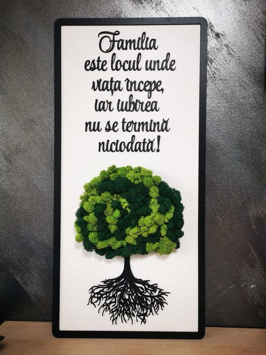 Aranjamente cu licheni