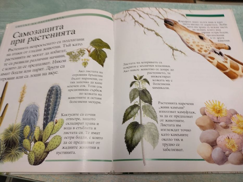 Енциклопедия за природата