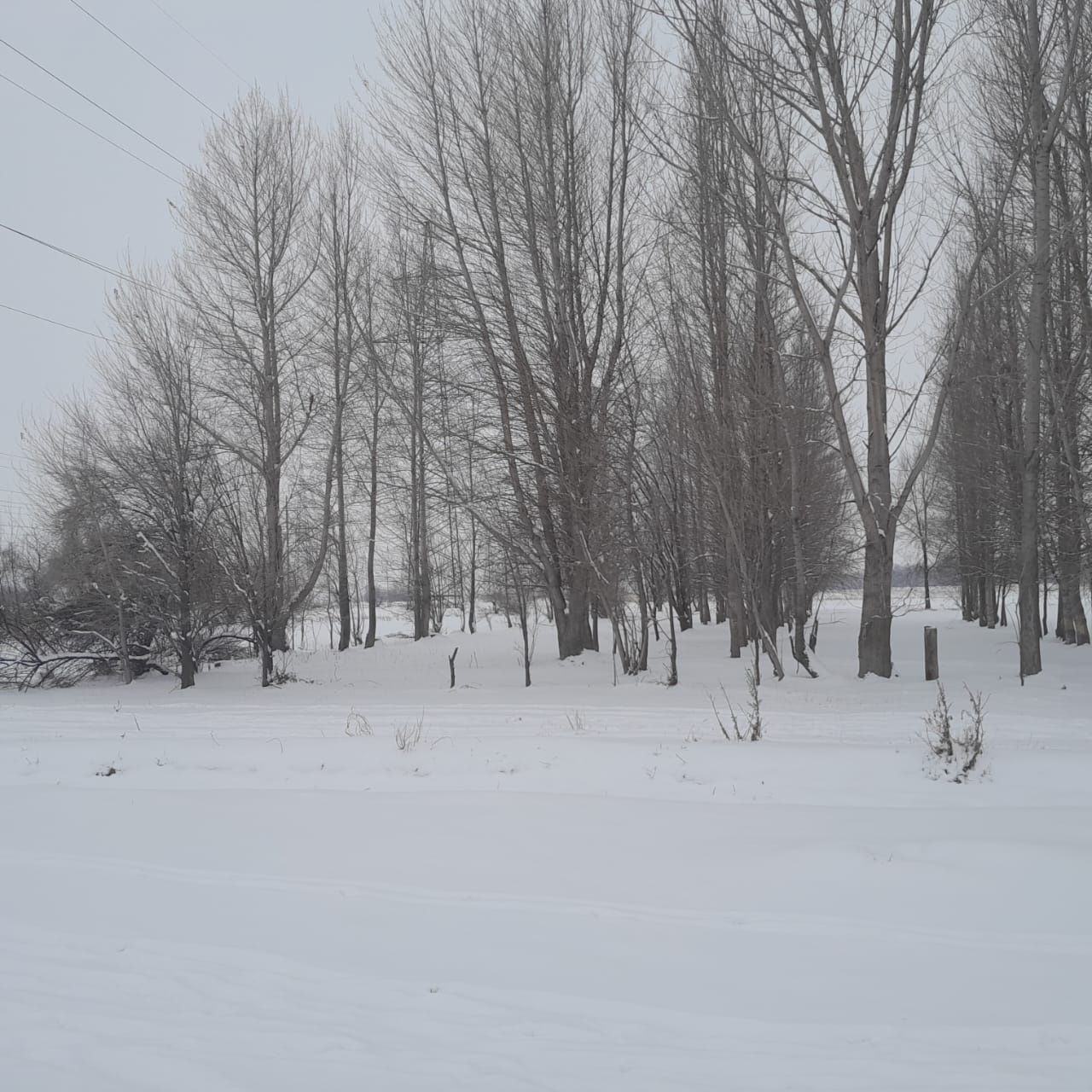 Срочно срочно участок земли 2га в Таразе село Гродеково .