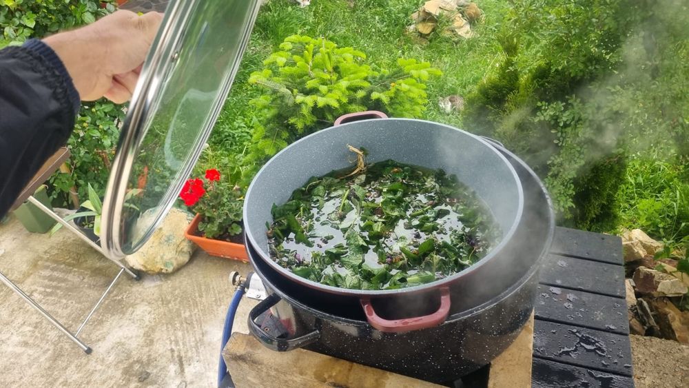 Unguent & Crema Brusture Artrita Guta Entorse Osteoporoză Reumatism