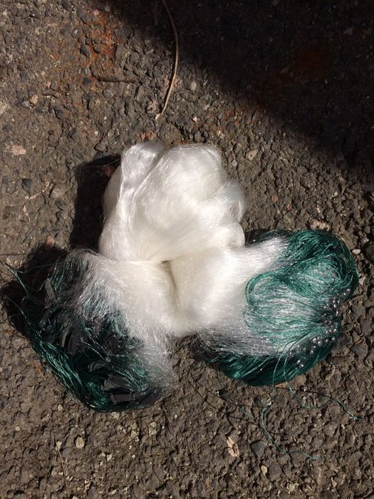 Plase pescuit cu radine