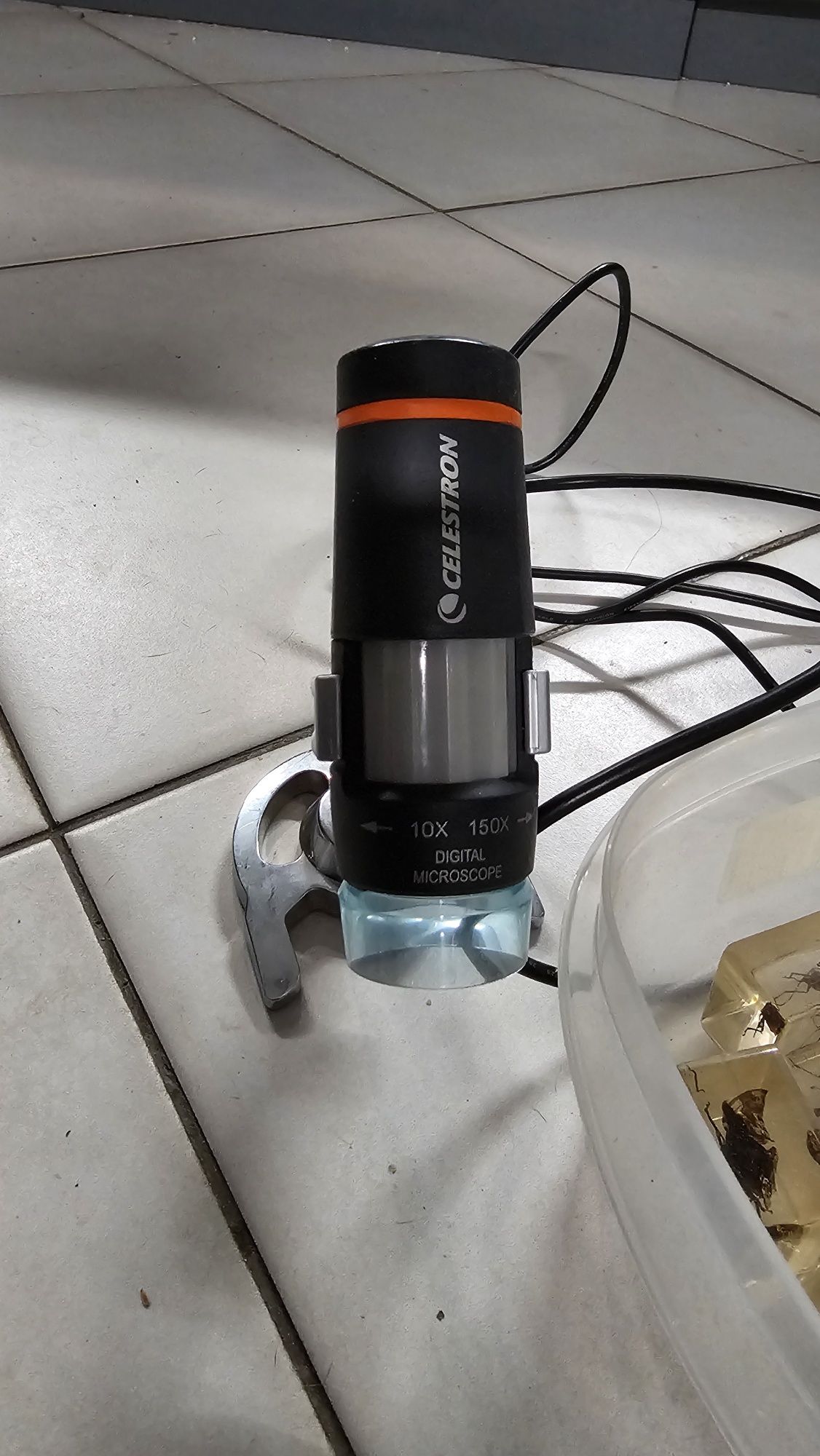 Микроскоп Celestron + Коллекция жуков в акриле