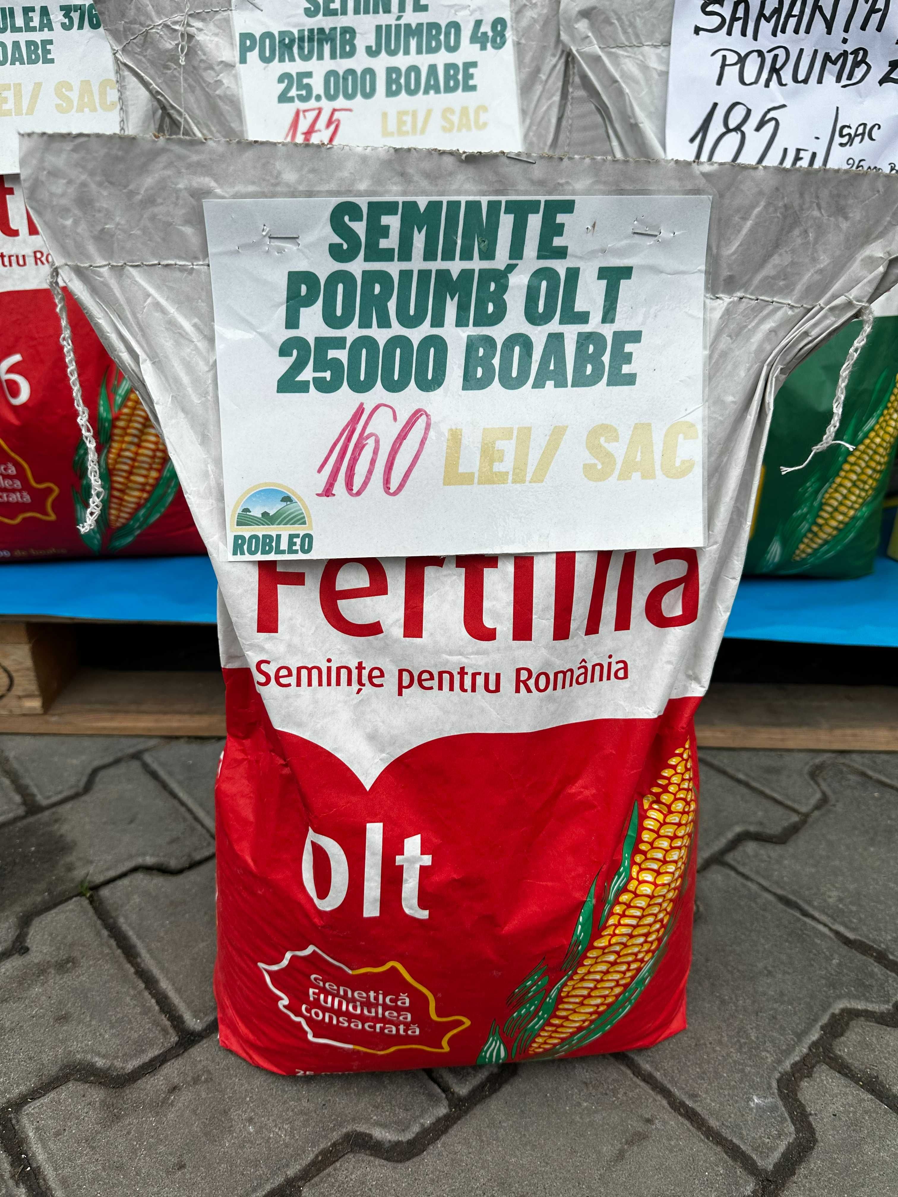 Seminte Porumb RodBun Fertillia ( Jumbo 48, Fundulea 376, ZP, Olt, BC)