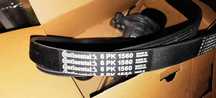 CONTITECH 6PK1560K1 Set curea transmisie cu caneluri peugeot 206