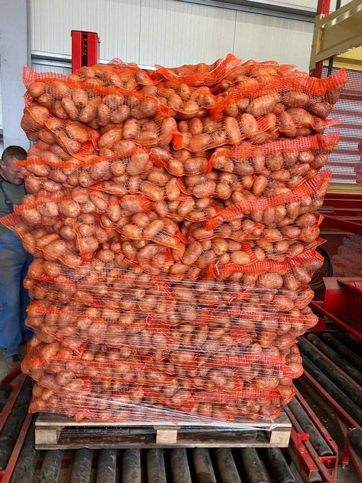 Cartofi consum – albi și roșii