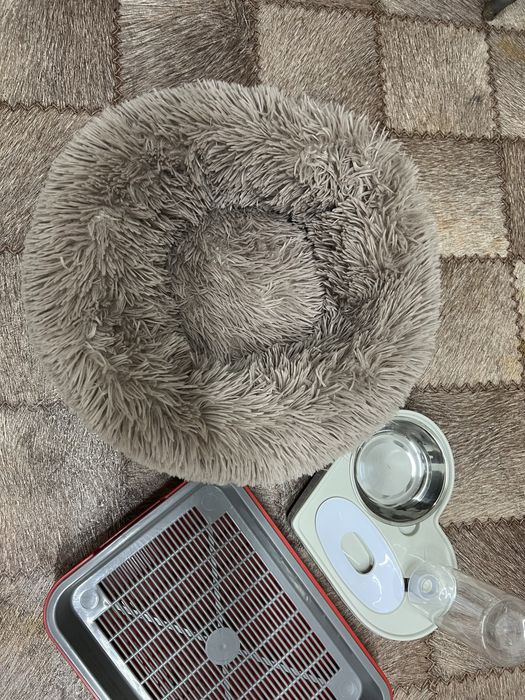 Лежанка+лоток+чашка с поилкой, за всё 7000.