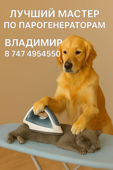Восстановление паровых утюгов