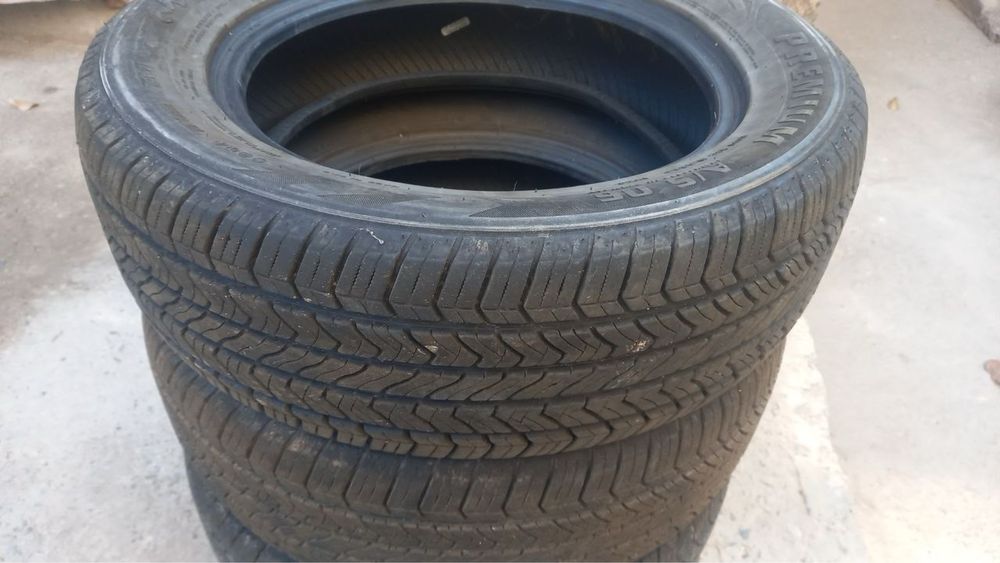 Автошина mustang premium  15