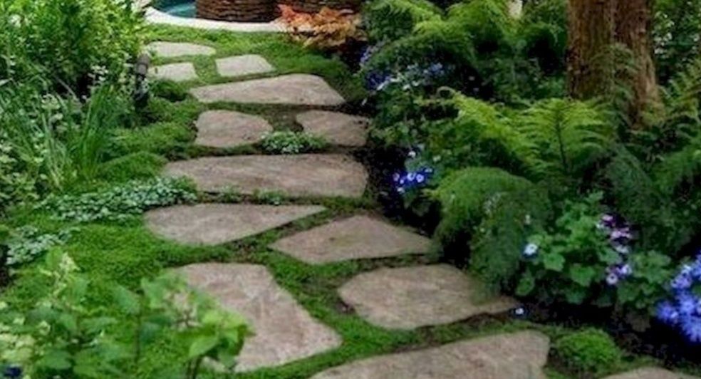 Красивый и ухоженный сад Услуги Садовника