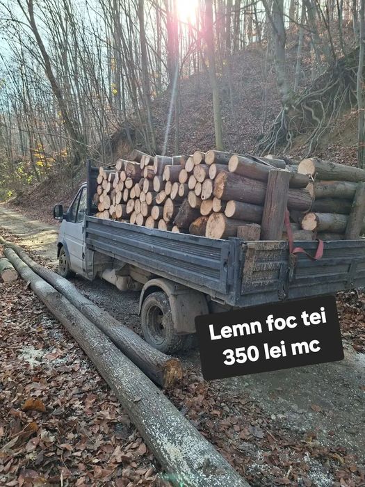 Vând lemn de foc tei 350 lei mc
