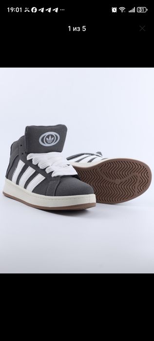 Кампусы высокие. Сезон :Осень - Зима