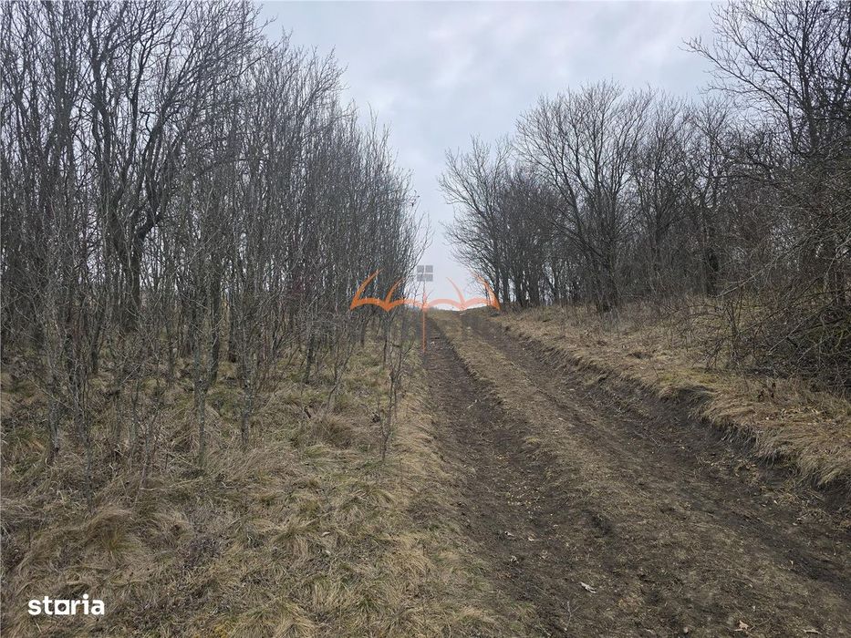 2 Terenuri de vanzare in Popesti Baciu 500m²+ 2.030m².