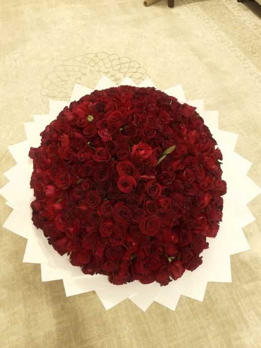 303 роза,город Алматы