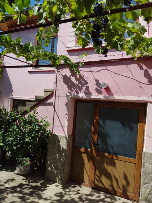 Имот в Мъглиж с двор 540кв.м.