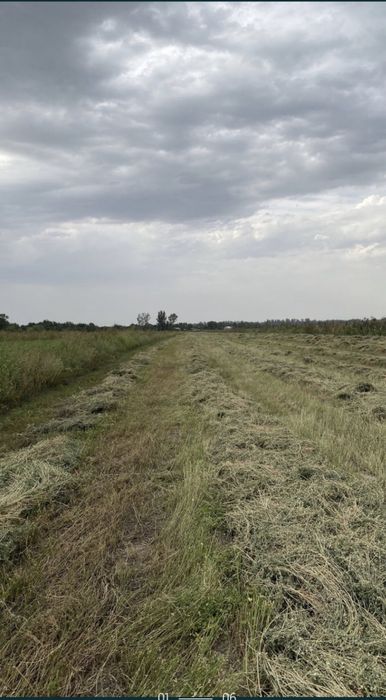 Продам землю