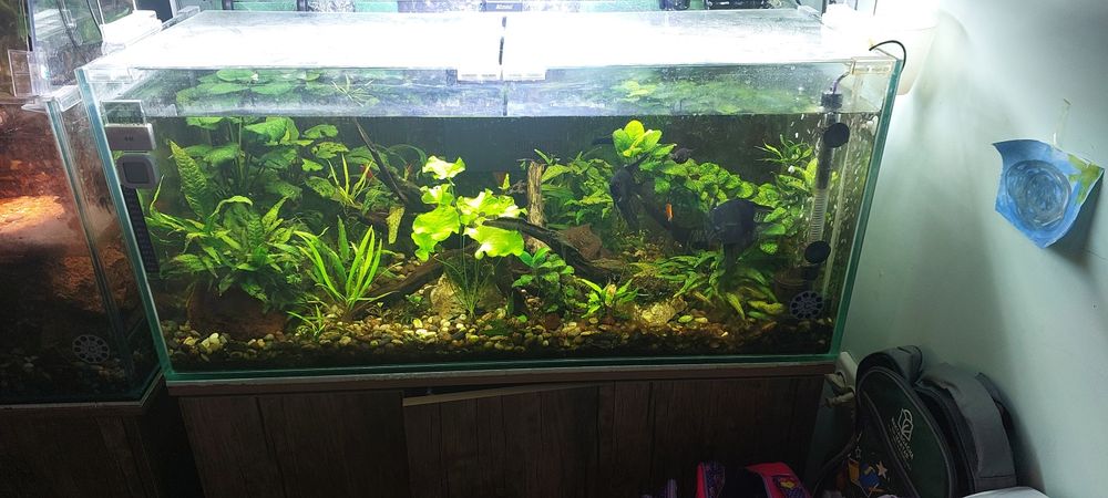 Akvarium 200 litr.