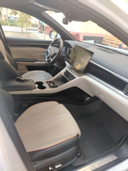 BYD Song Plus EV Champion 2023 sotvoman