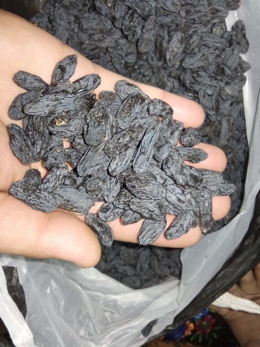 Mayiz sotiladi narxi kelishtramiz