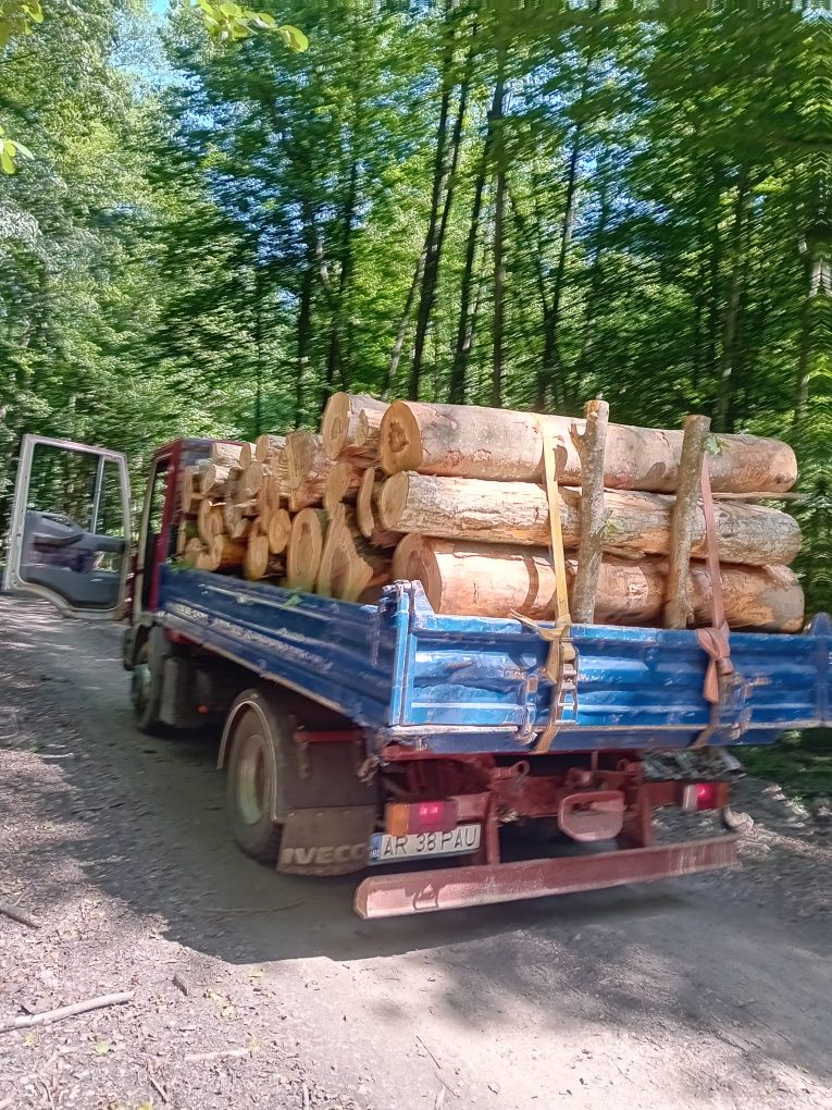 Ducem la comanda lemne de foc de esență tare cer.goron.gârnita semi us