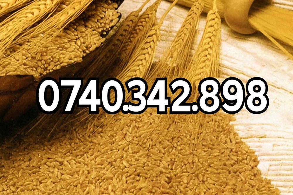 Grau de vanzare productie 2025