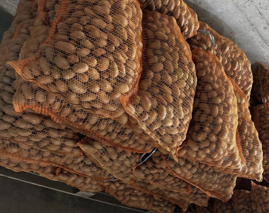 Cartofii consum roșu și alb