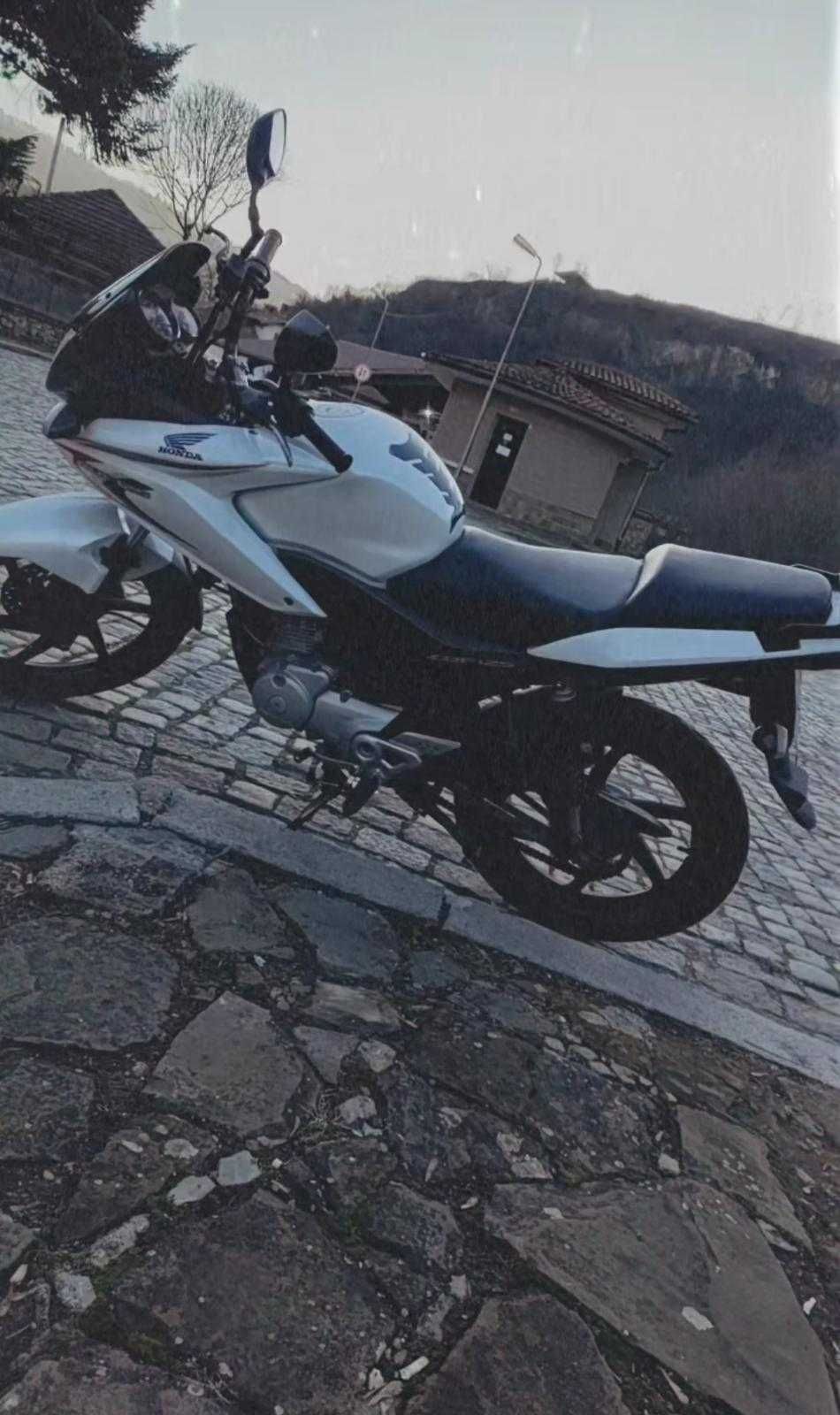 хонда сбф 125 2009