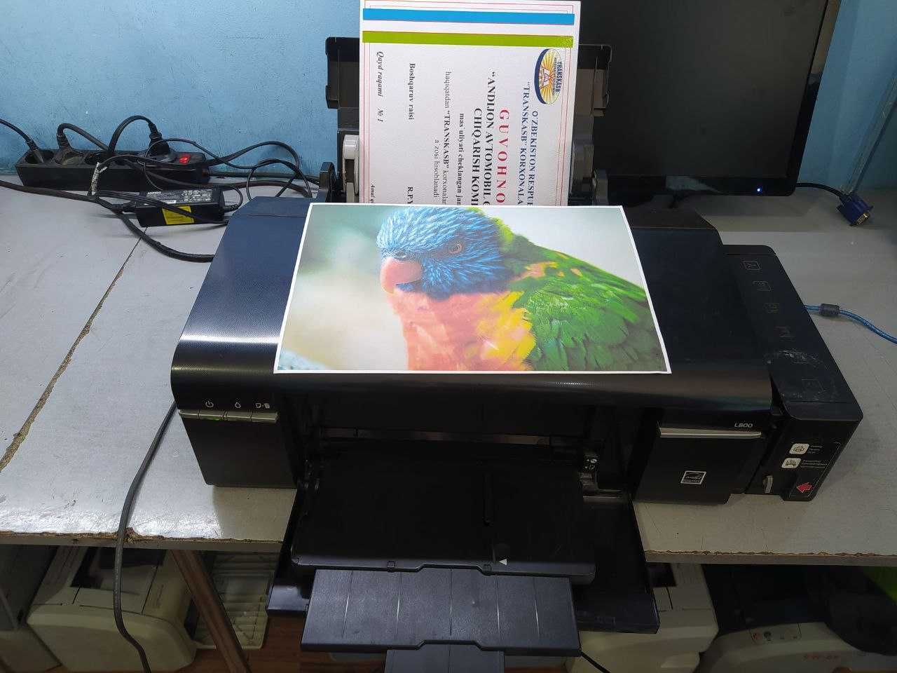 EPSON L800 - 6-ти цветный Фото-принтер (шнуры в комплекте)