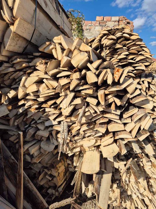 Дърва за огрев - Топола