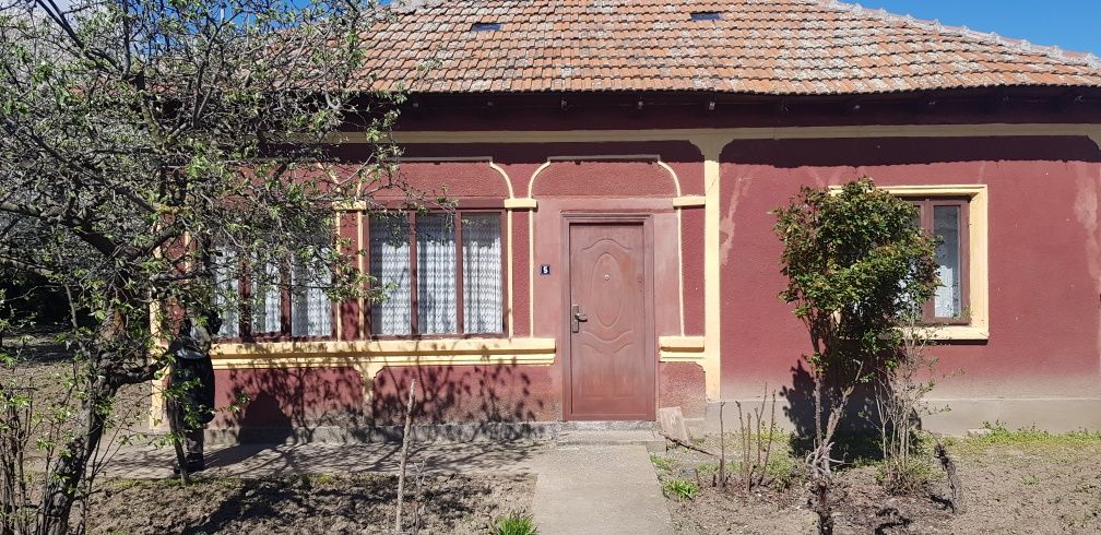 Casa si teren Zimnicea