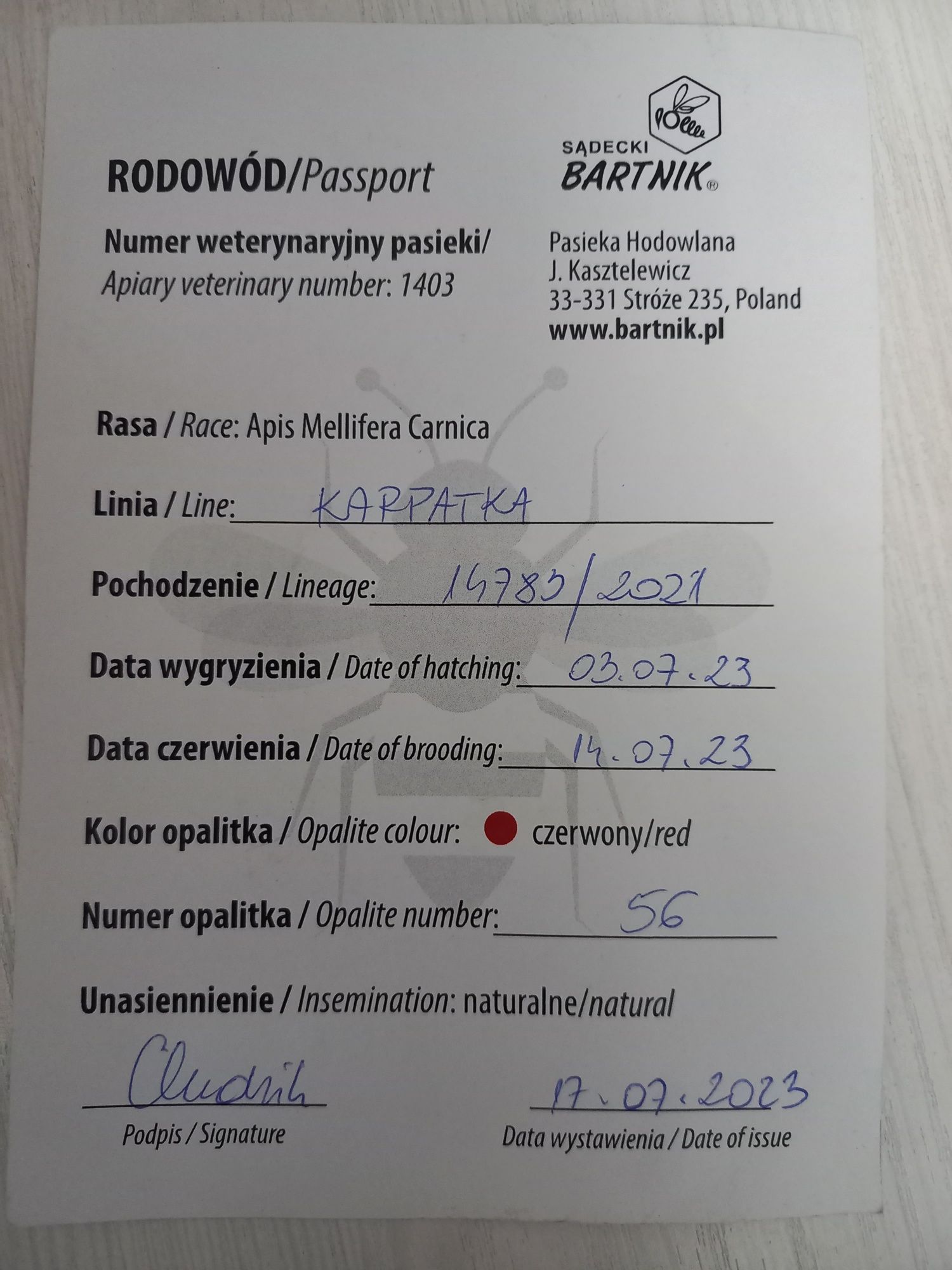 Продаю пчел, пчеломаток(онаари))