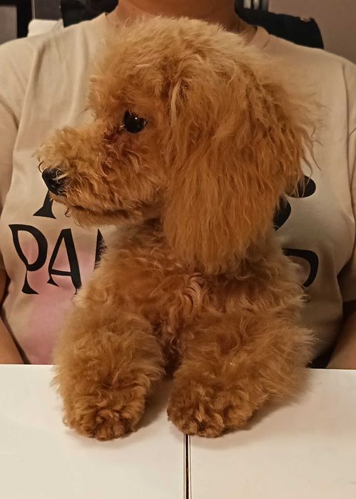 Коледна промоция