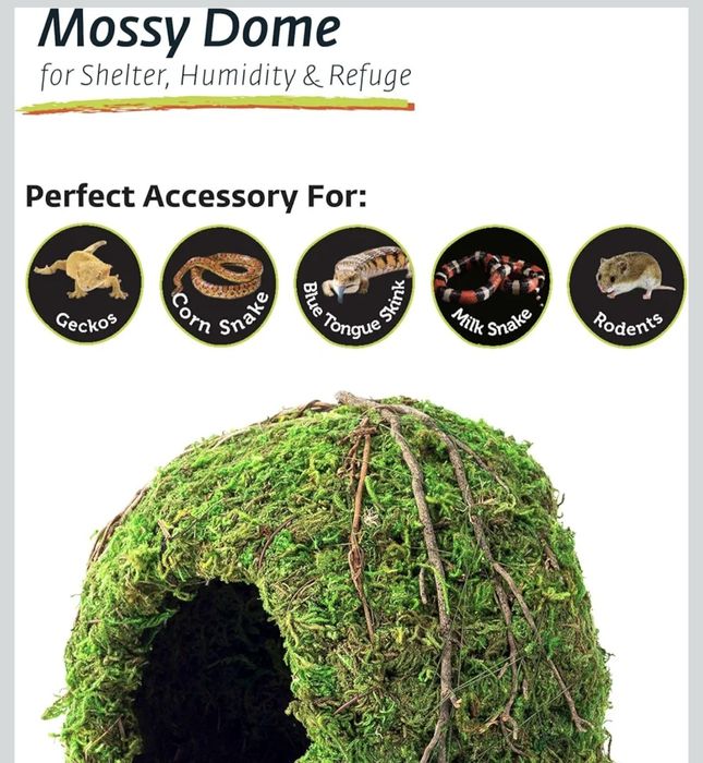 Домик из мха для змей гекконов рептилий