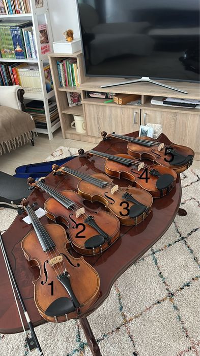 Viori vechi 4/4 de vanzare