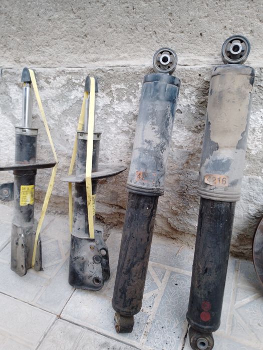 Амализатр каптив