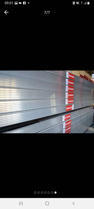 Închirieri Schele Ringer