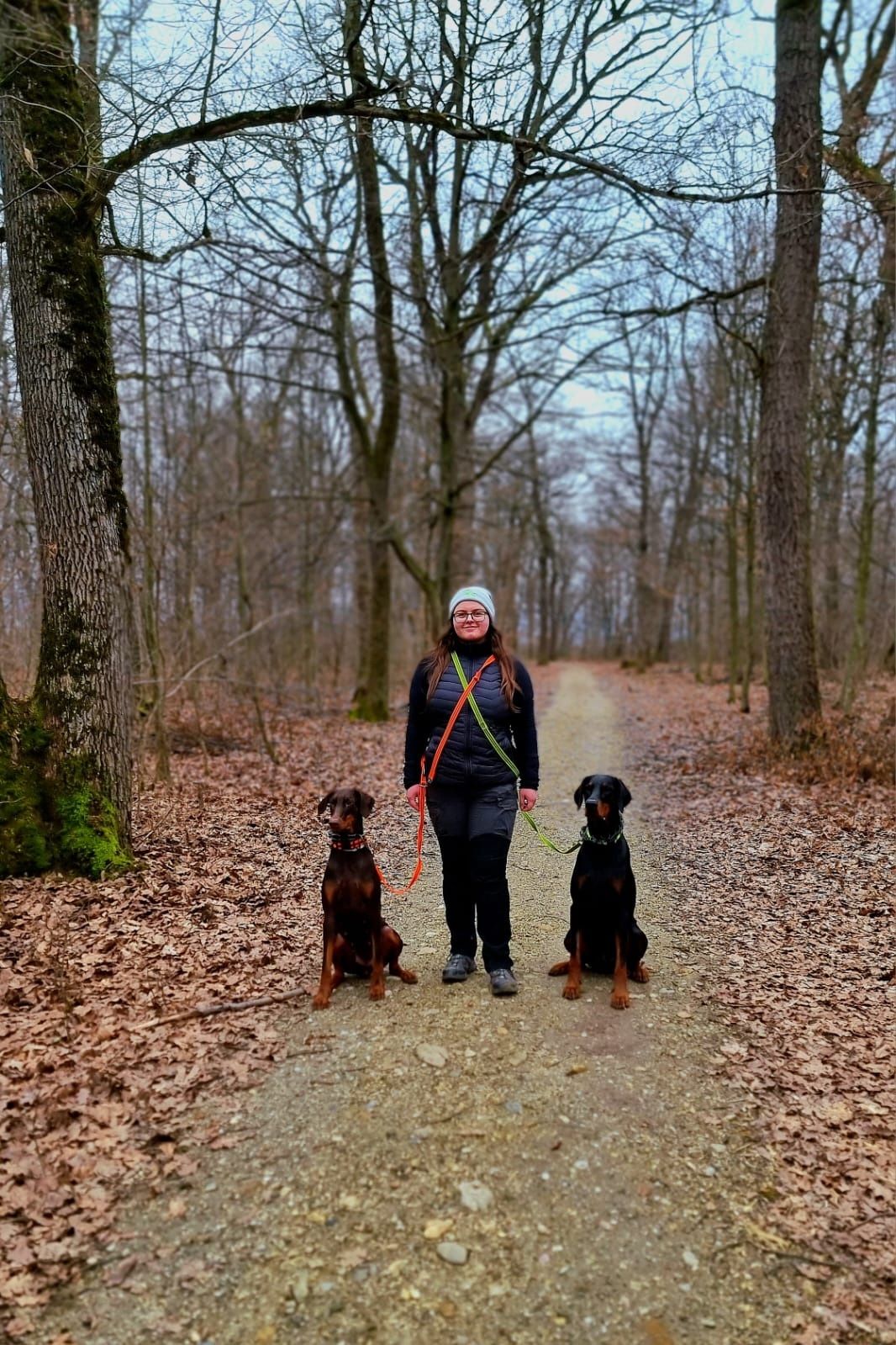 Dresaj canin Sibiu și împrejurimi