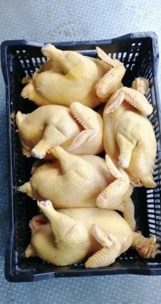 Домашние куры, гуси, утки, мясо свинина