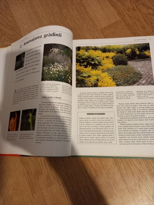 Carte ..carte...carte