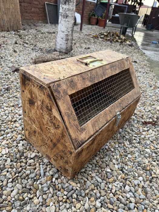 Cutii de transport iepuri