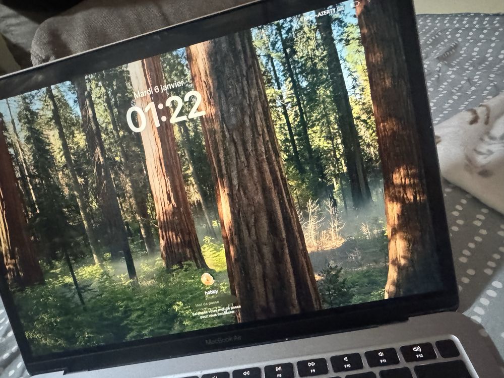 Macbook air 2020 A2179