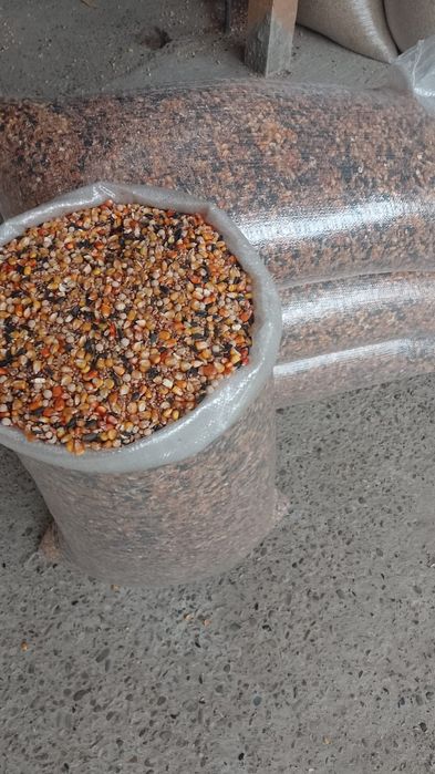 Sorg Roșu și Amestec de cereale 7 semințe