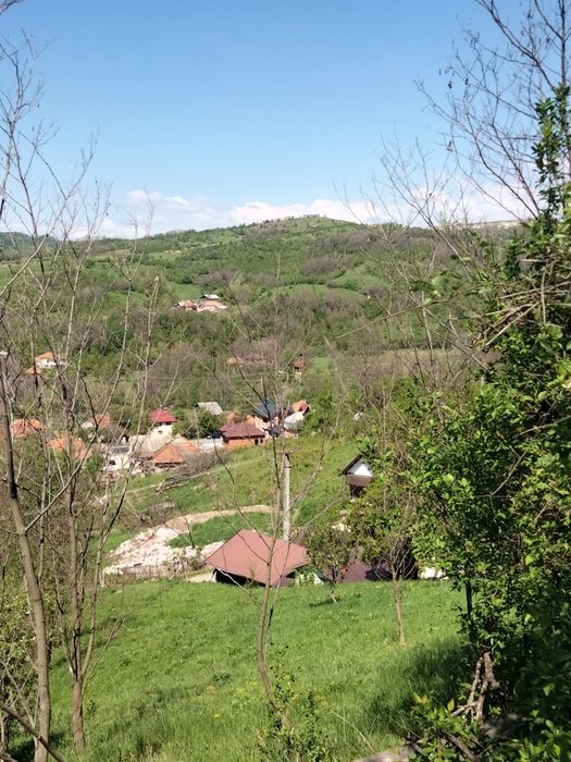 Vând teren intravilan  Boteni Argeș   9000 mp.  4 euro mp