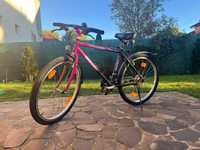 Bicicleta Giant Terrago