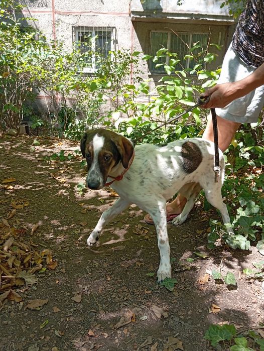 Стерильная  девочка охранница