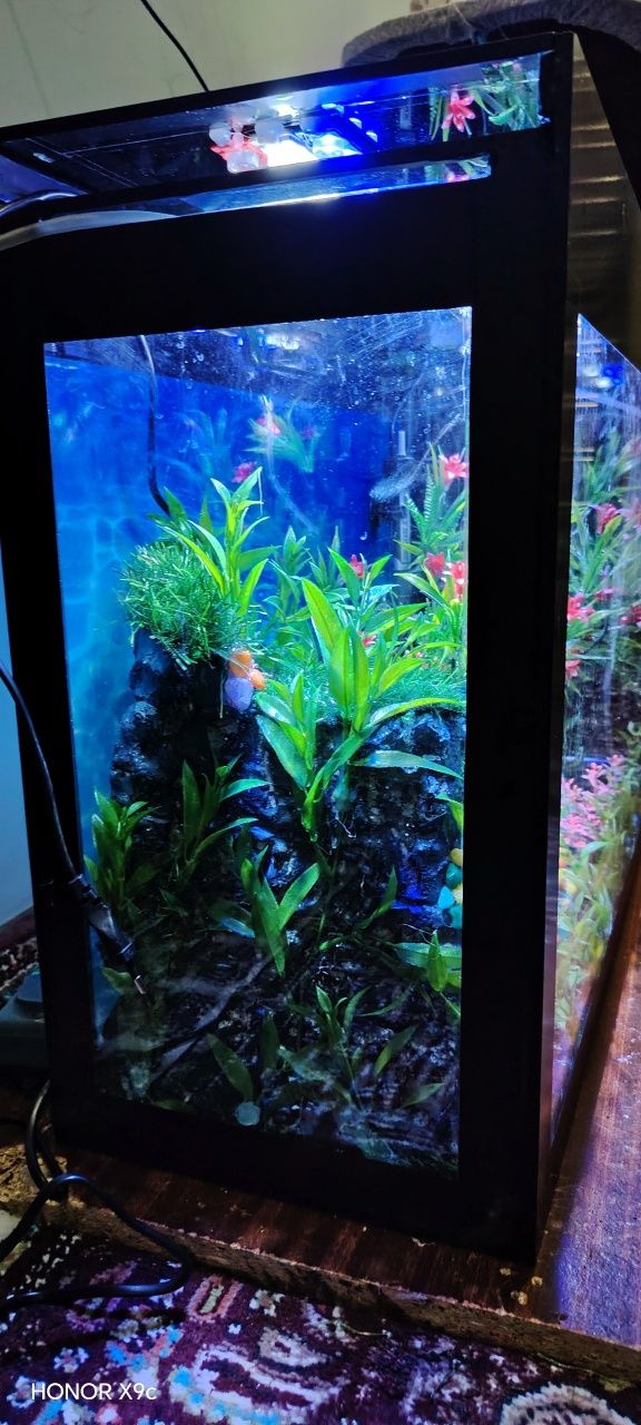 Akvarium sotiladi
