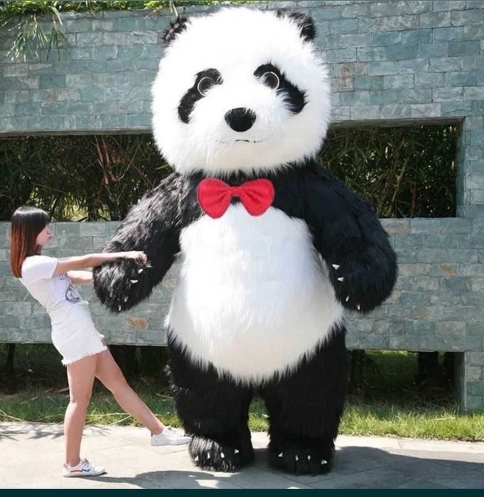 Панда мишка Тедди . Костюмы напрокат!