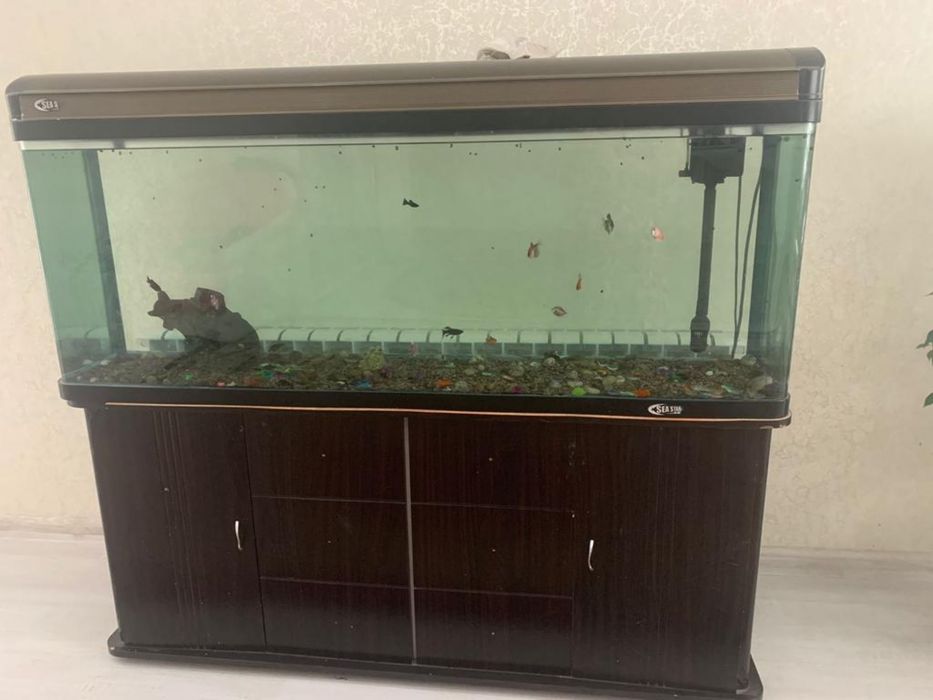 Продается аквариум с рыбками