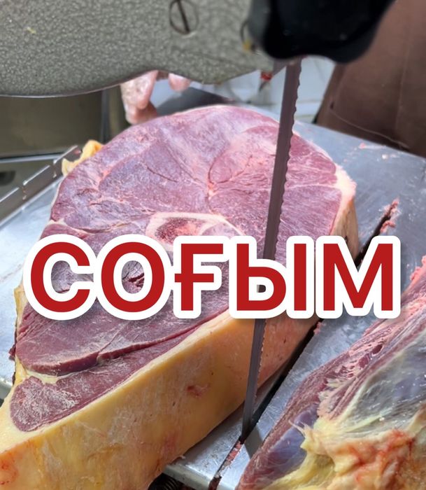 СОҒЫМ! Мясо оптом! Конина, говядина!