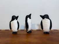 set 3 pinguini salcie