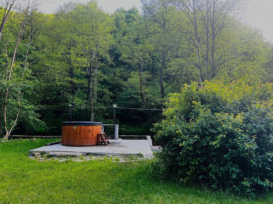 Cabana cu Piscina si Jacuzii  la Valea ierii , libera Revelion/craciun